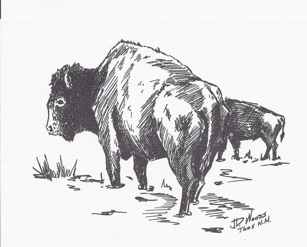 Buffalo